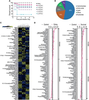 Fructose Promotes Crucian Carp Survival Against Aeromonas hydrophila Infection